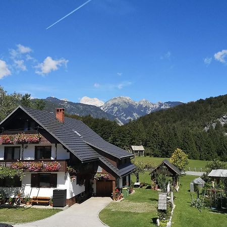Apartmaji Prezelj 博希尼 外观 照片