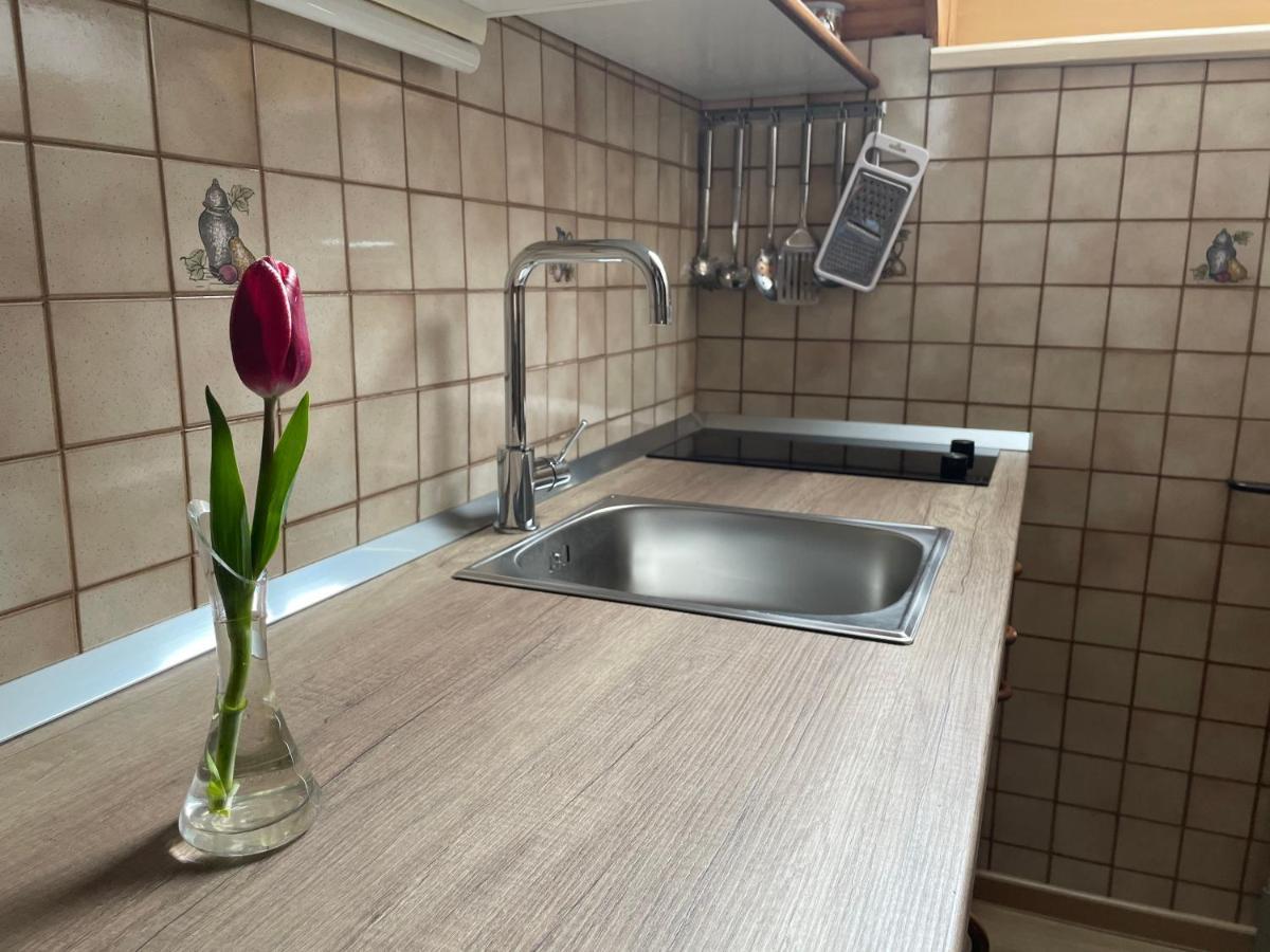 Apartmaji Prezelj 博希尼 外观 照片