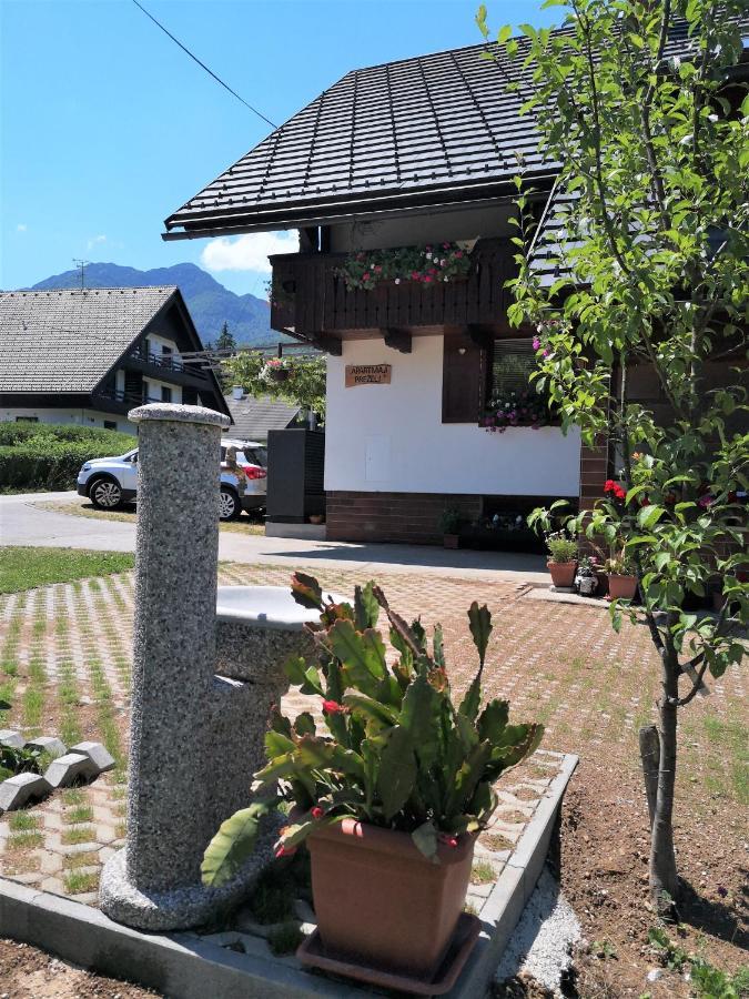 Apartmaji Prezelj 博希尼 外观 照片