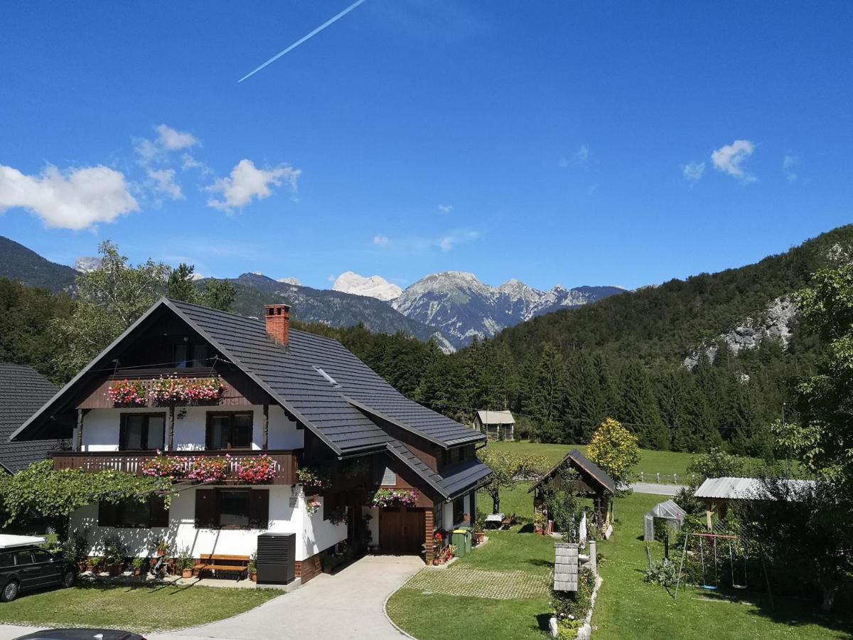 Apartmaji Prezelj 博希尼 外观 照片