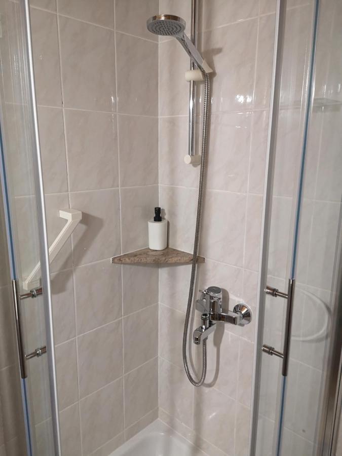 Apartmaji Prezelj 博希尼 外观 照片